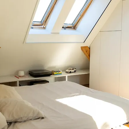 Bright Loft With Terrace In Nivy Apartment *