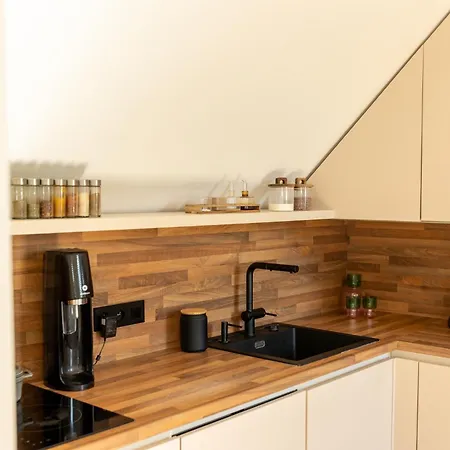 Apartment Bright Loft With Terrace In Nivy *