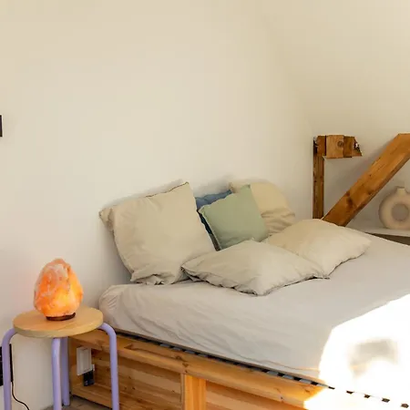 Bright Loft With Terrace In Nivy Apartment
