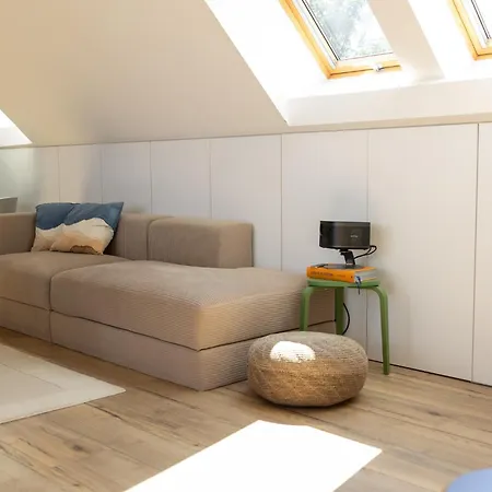 Apartment Bright Loft With Terrace In Nivy *